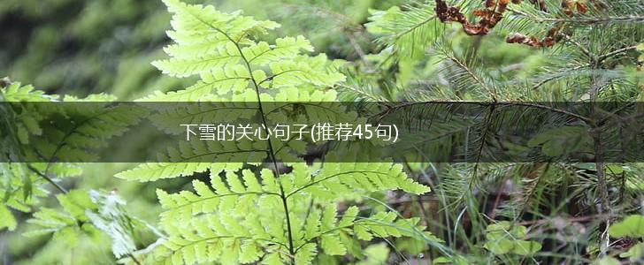 下雪的关心句子(推荐45句),第1张