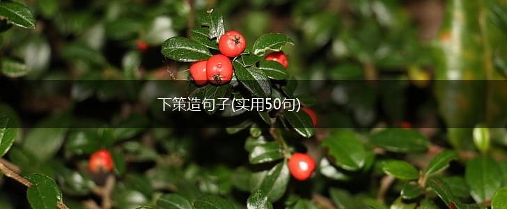 下策造句子(实用50句),第1张