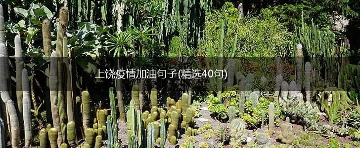 上饶疫情加油句子(精选40句),第1张