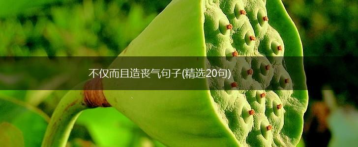 不仅而且造丧气句子(精选20句),第1张