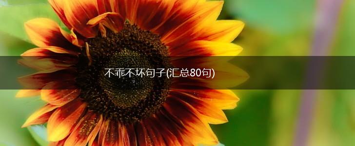 不乖不坏句子(汇总80句),第1张