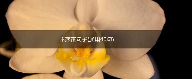 不恋家句子(通用40句),第1张