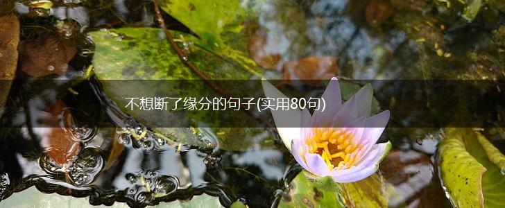 不想断了缘分的句子(实用80句),第1张 不想断了缘分的句子(实用80句),第1张