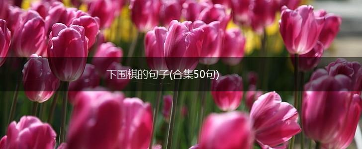 下围棋的句子(合集50句),第1张