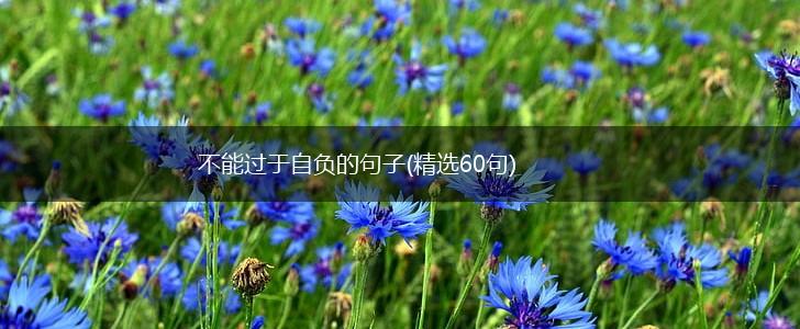 不能过于自负的句子(精选60句),第1张
