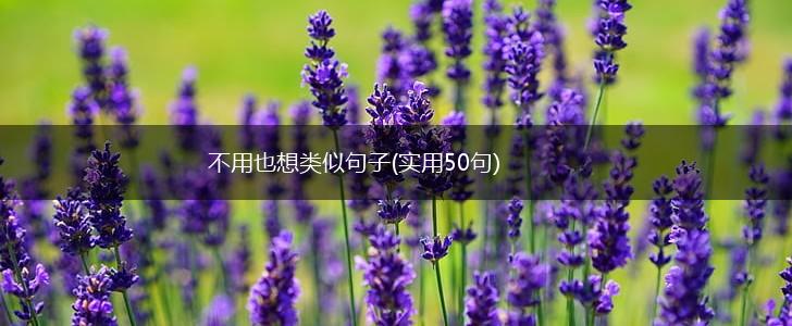 不用也想类似句子(实用50句),第1张