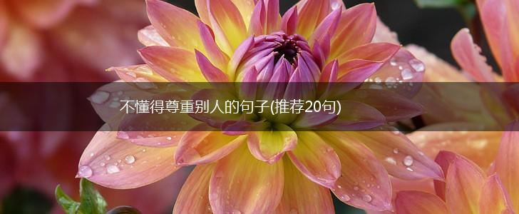不懂得尊重别人的句子(推荐20句),第1张