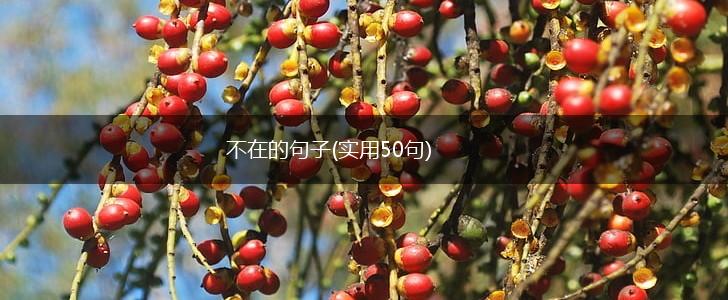 不在的句子(实用50句),第1张