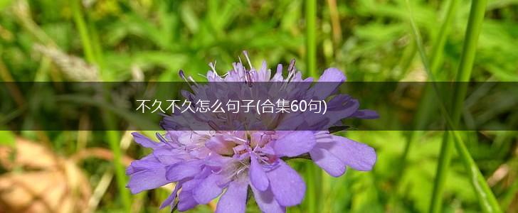 不久不久怎么句子(合集60句),第1张
