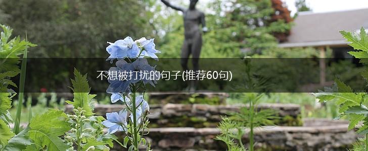 不想被打扰的句子(推荐60句),第1张