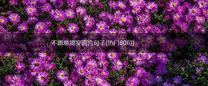 不愿意揭穿谎言句子(热门80句),第1张