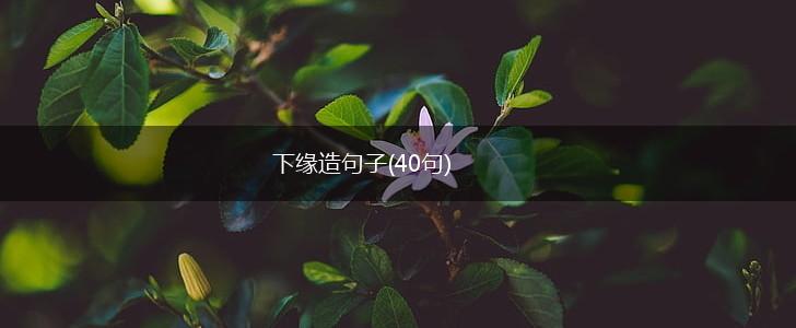 下缘造句子(40句),第1张