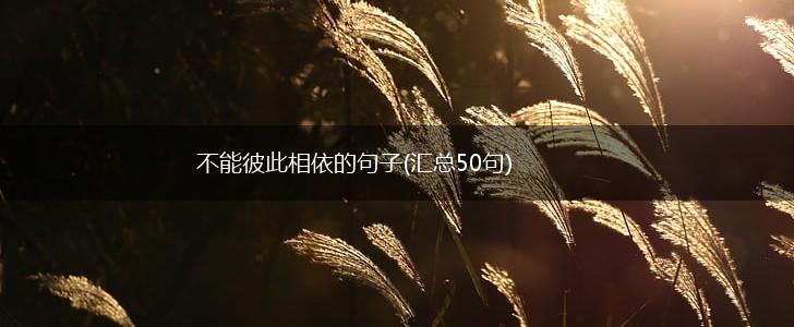 不能彼此相依的句子(汇总50句),第1张