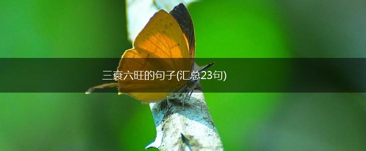 三衰六旺的句子(汇总23句),第1张