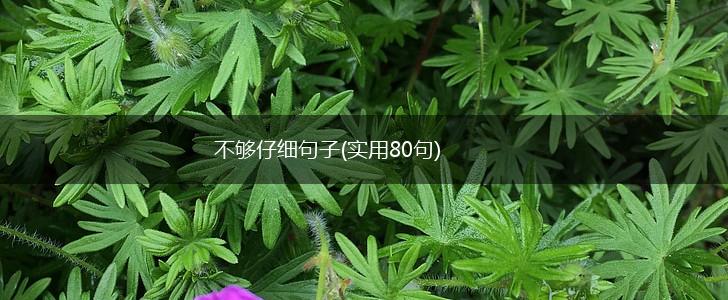 不够仔细句子(实用80句),第1张