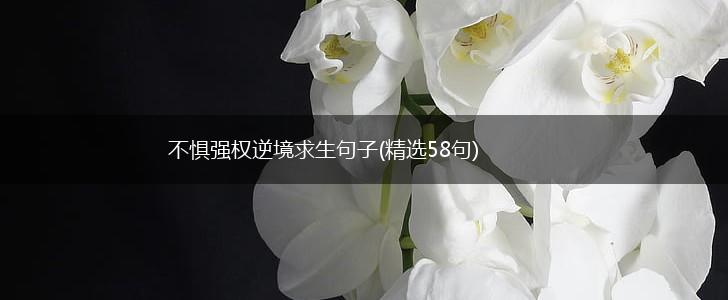 不惧强权逆境求生句子(精选58句),第1张