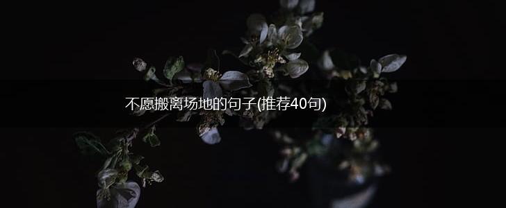 不愿搬离场地的句子(推荐40句),第1张