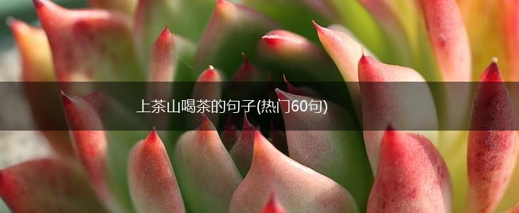 上茶山喝茶的句子(热门60句),第1张