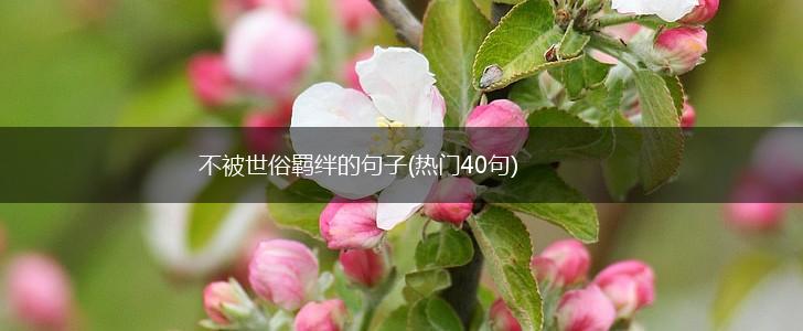 不被世俗羁绊的句子(热门40句),第1张