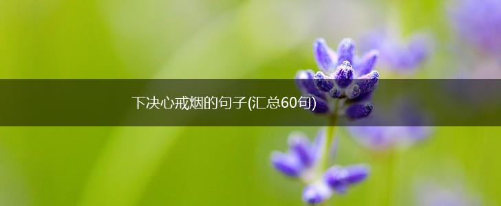 下决心戒烟的句子(汇总60句),第1张