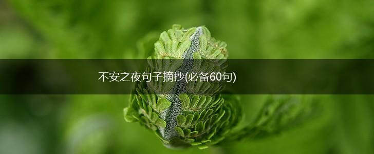 不安之夜句子摘抄(必备60句),第1张
