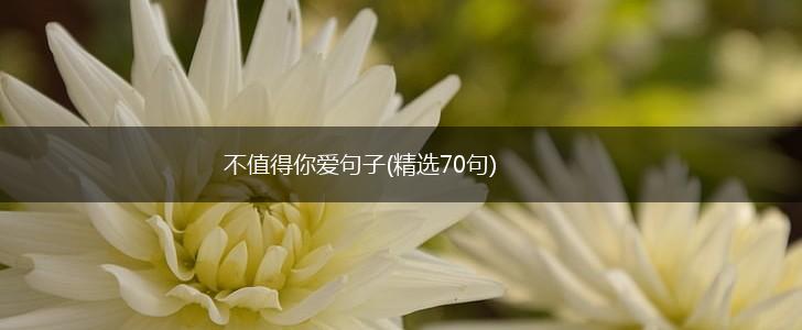 不值得你爱句子(精选70句),第1张