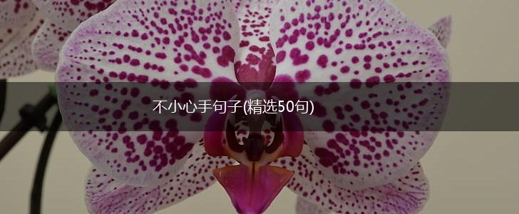 不小心手句子(精选50句),第1张