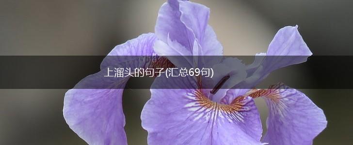 上溜头的句子(汇总69句),第1张