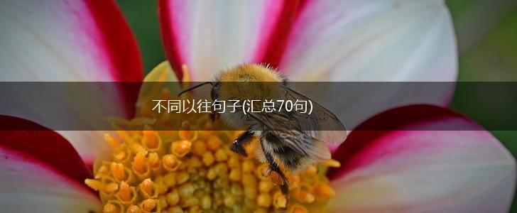 不同以往句子(汇总70句),第1张