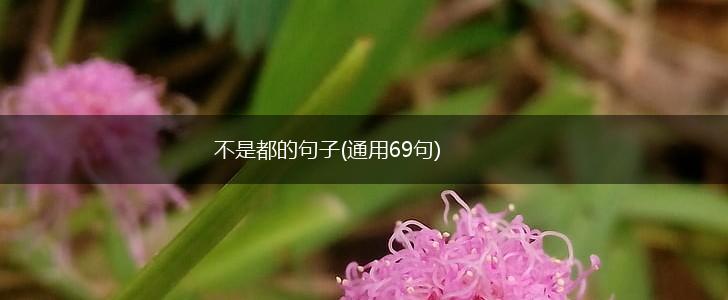 不是都的句子(通用69句),第1张