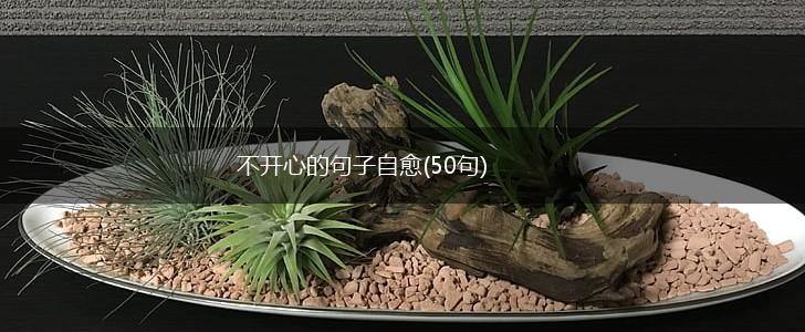 不开心的句子自愈(50句),第1张