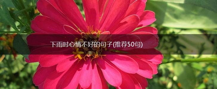 下雨时心情不好的句子(推荐50句),第1张