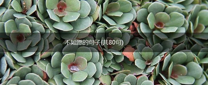 不如愿的句子(共80句),第1张