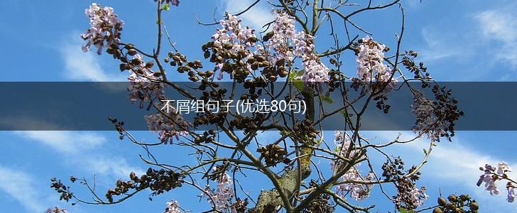 不屑组句子(优选80句),第1张