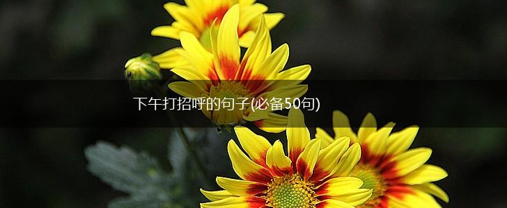下午打招呼的句子(必备50句),第1张