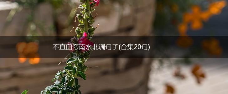 不直白夸南水北调句子(合集20句),第1张