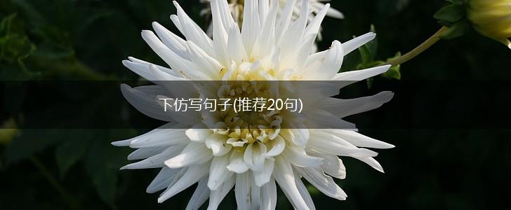 下仿写句子(推荐20句),第1张