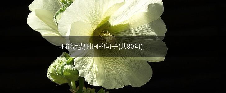 不能浪费时间的句子(共80句),第1张