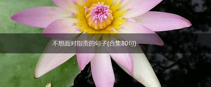 不想面对指责的句子(合集80句),第1张