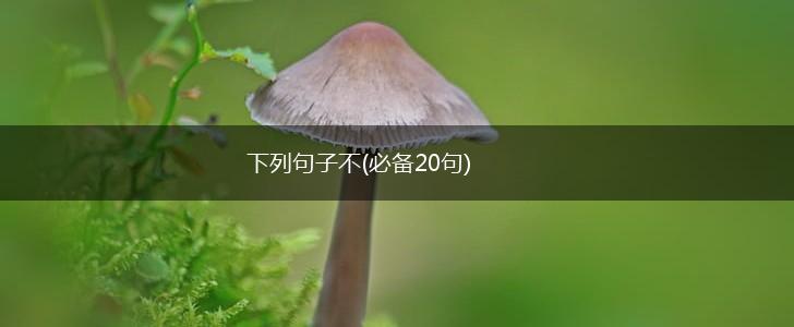 下列句子不(必备20句),第1张