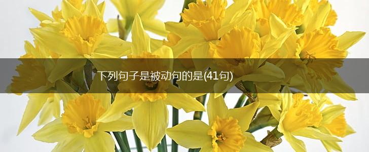 下列句子是被动句的是(41句),第1张