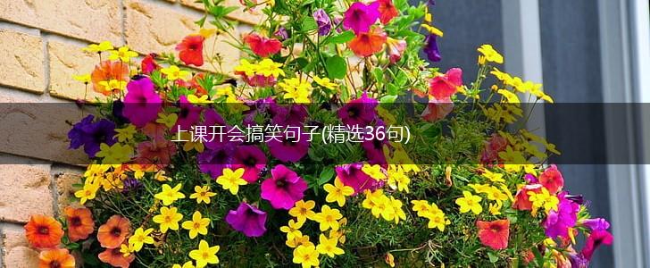 上课开会搞笑句子(精选36句),第1张