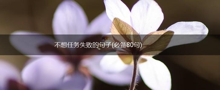 不想任务失败的句子(必备80句),第1张 不想任务失败的句子(必备80句),第1张