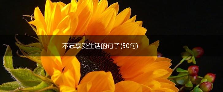 不忘享受生活的句子(50句),第1张
