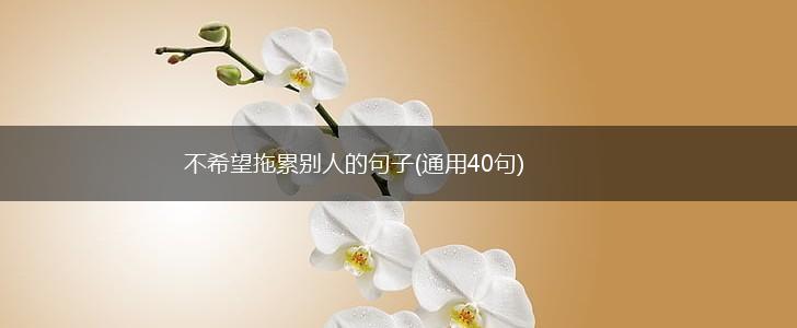 不希望拖累别人的句子(通用40句),第1张
