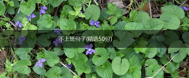 不上班句子(精选50句),第1张