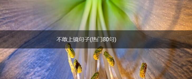 不敢上镜句子(热门80句),第1张