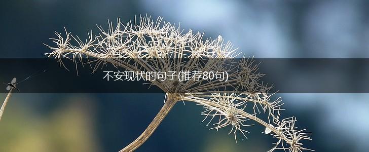 不安现状的句子(推荐80句),第1张