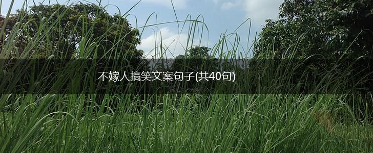 不嫁人搞笑文案句子(共40句),第1张