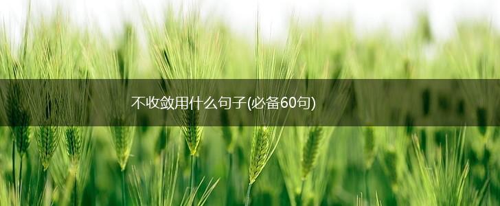 不收敛用什么句子(必备60句),第1张